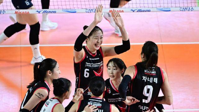 프로배구 상반기 관중 대폭 증가…지난 시즌 대회 7.7% 늘었다