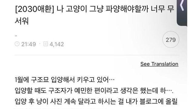 구조된 고양이 분양 받은 사람 정신교육 중인 캣맘