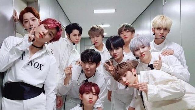 워너원, 7년 만에 뭉친다…리얼리티 프로그램 상반기 공개