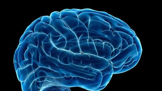 뇌 저장용량은 얼마나 될까? - 뇌의 하드디스크?