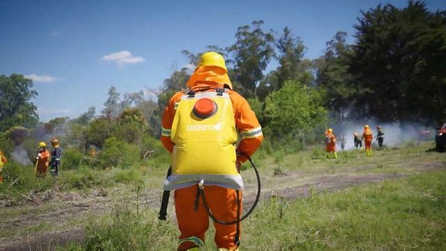 한여름 우루과이 곳곳 화재…호텔 투숙객 창문으로 탈출