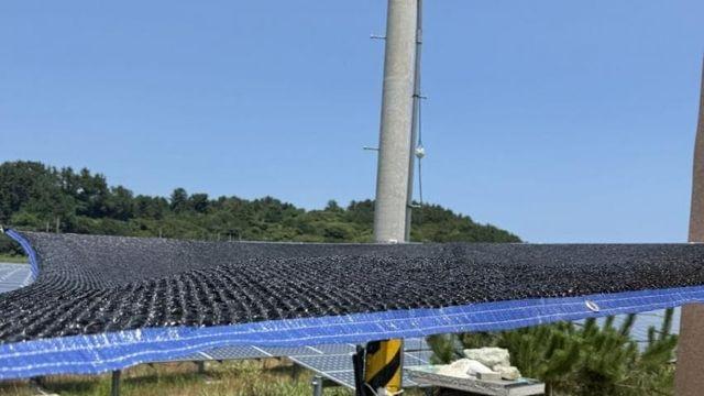 시골댕댕이를 위해 설치해준 가림막