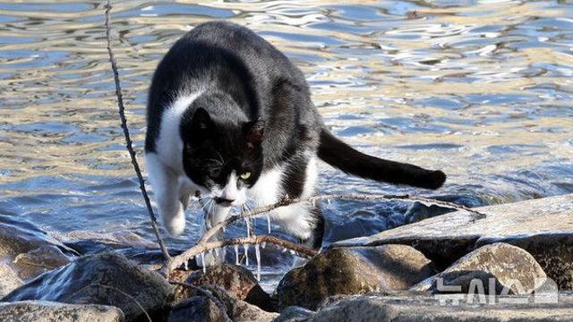출근길 영하 10도 안팎…강추위 이어져[다음주 날씨]