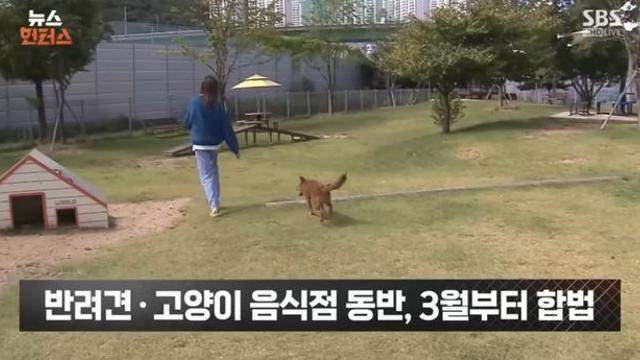 반려견, 고양이 음식점 동반 3월부터 합법화 시행
