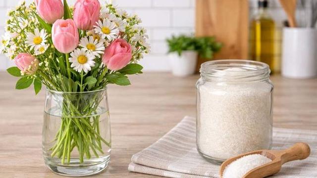 꽃병에 '설탕'을 넣어보세요... 정부도 인정한 방법입니다