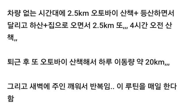 학대라고 논란 있었던 썰매견 강아지 동물농장 나옴,,