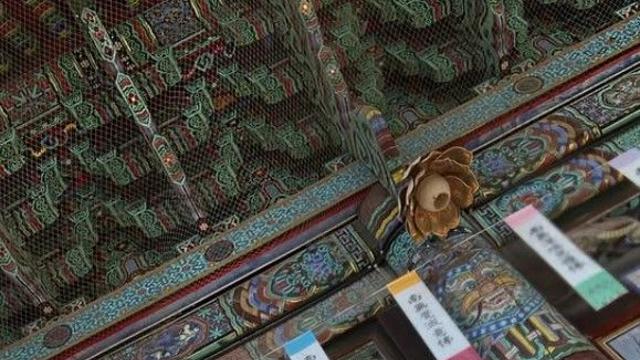 '호날두 전 연인' 이리나 샤크, 한국 여행…