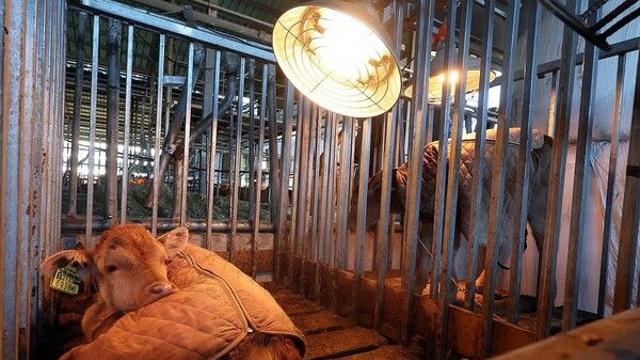 [날씨] 한파 누그러지는 새해 첫 일요일, 낮 최고기온 10도 예상