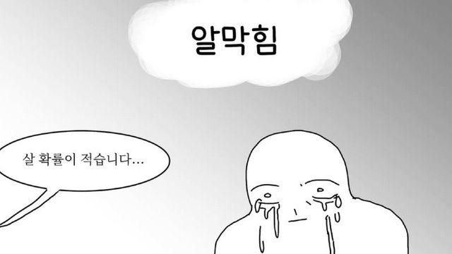 펌) 앵무새와 내가 겪은 최악의 경험.Manhwa