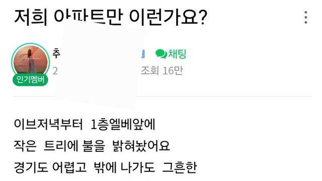 낭만낭만 겨울… 이었다