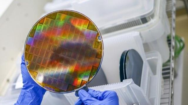 [빅테크+/⑱]머리카락 '10만분의 1'