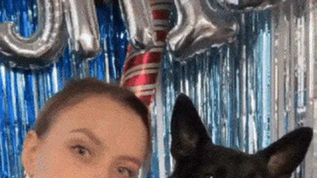 왜 자꾸 따라하는건데 gif