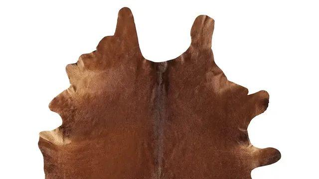 서양에서 식량이 부족할때 먹었던 식재료(?) 