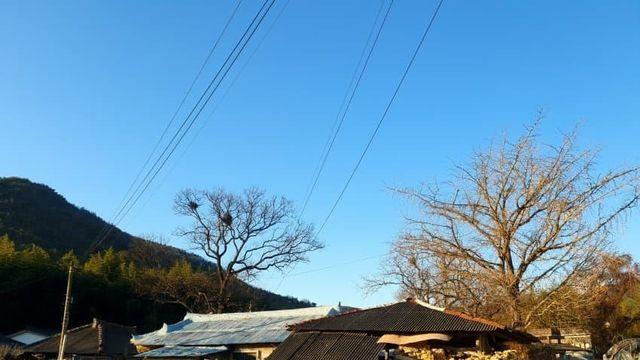 밀양 여행 후기