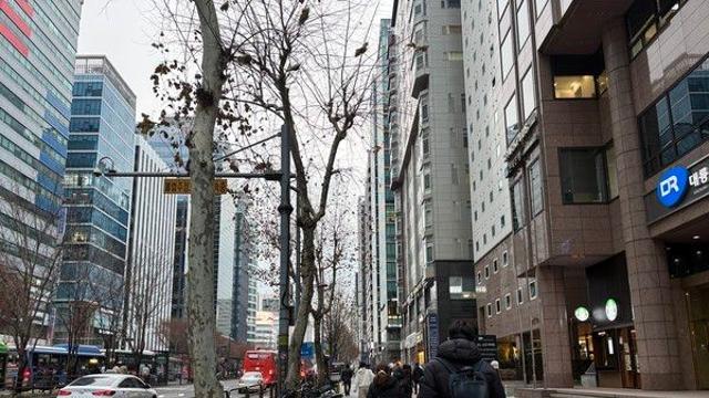 [오늘의 날씨] 건조하고 추운 출근길···‘소한 추위’에 아침 최저 -10도