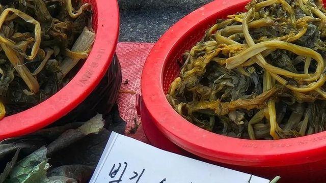 맞춤법 지적 못하는 사진