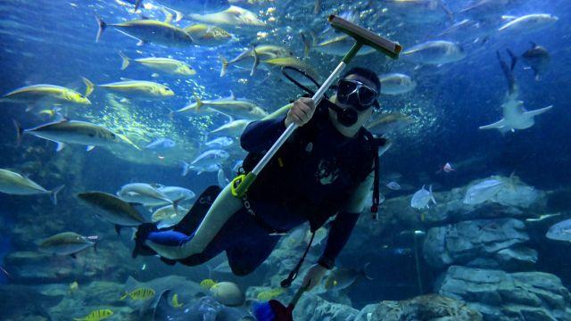 아쿠아플라넷 광교, 신년 맞이 수조 청소 [포토뉴스]