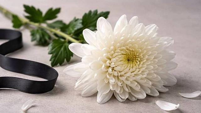 안성기 눈감은 날…한국의 촉망받는 20대 재즈 뮤지션도 떠났다