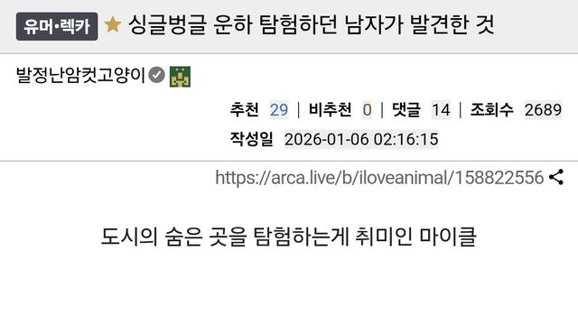 운하 탐험하던 남자가 발견한 것 ㄷㄷ