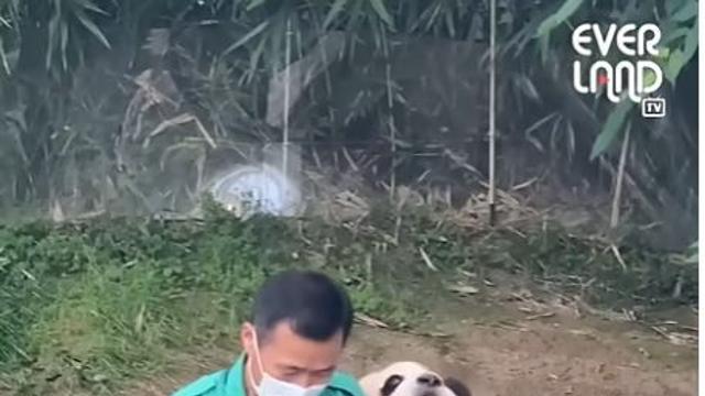 '푸바오와 반도체 사이'에서 돋보인 이재명식 실용주의