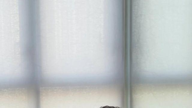 ‘흑백요리사2’ 탈락이 대수냐…손종원, 팔로우만 30만 추가한 ‘최고 수혜자’ [왓IS]