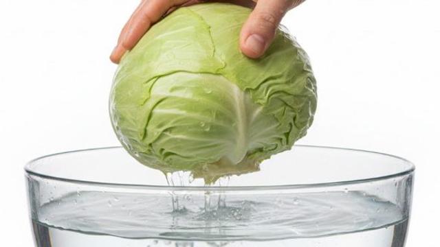 식초에 담그는 건 제발 그만…'양배추'는 이렇게 씻어야 걱정 없습니다