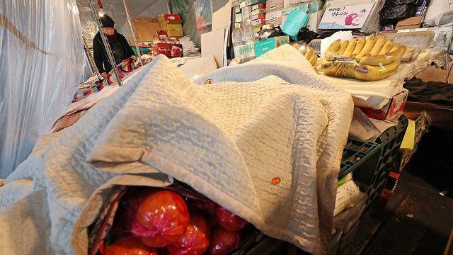 민주, 가락시장서 현장 최고위…새해 바닥 민심 청취