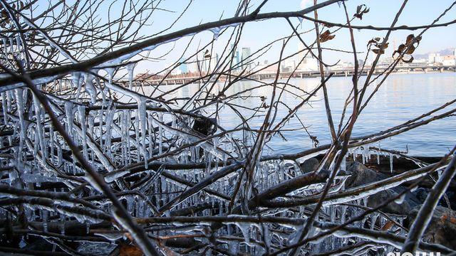 <오늘의 날씨> 다시 강추위 기승⋯중부 곳곳 한파특보