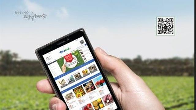 해남군 직영 쇼핑몰 '해남미소' 매출 274억 달성…역대 최대