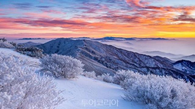 설경에 반하다!....경북 상고대 명산 베스트 4