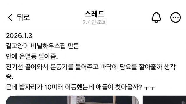 감동감동 길냥이 비닐하우스 지어준 스레드인