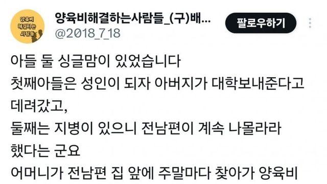 전남편 찾아가 양육비 지급 시위하다 친아들에게 쌍욕들은 싱글맘