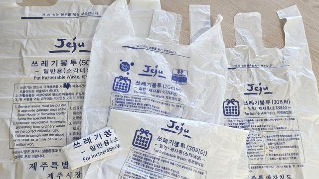 종량제봉투값 횡령해 도박에 탕진…전직 제주시청 직원 징역 3년