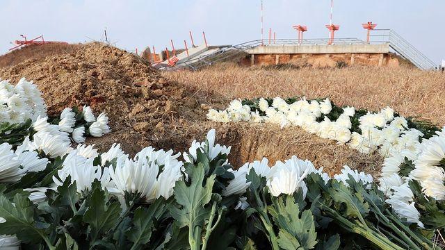 항철위 용역보고서 