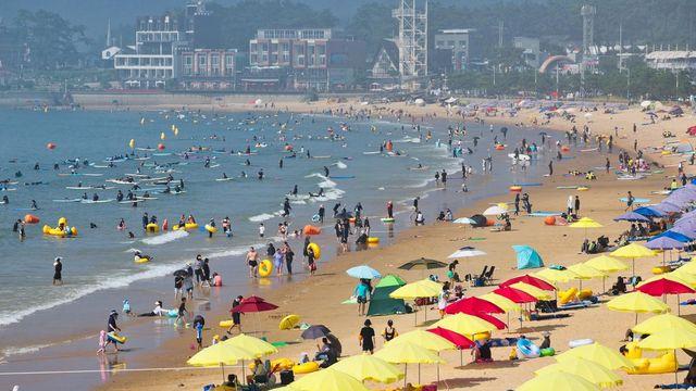 태안에 지난해 역대 최다 1천809만명 방문…