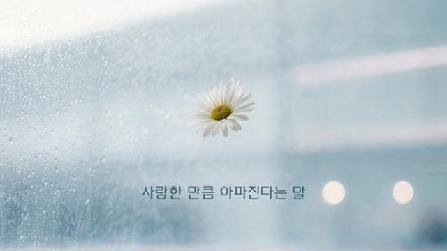 모닝커피, 이별의 통증 노래한다 