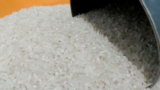 쌀통에 '이것' 딱 5알만 넣어보세요…쌀벌레 다시는 구경도 못 할 겁니다