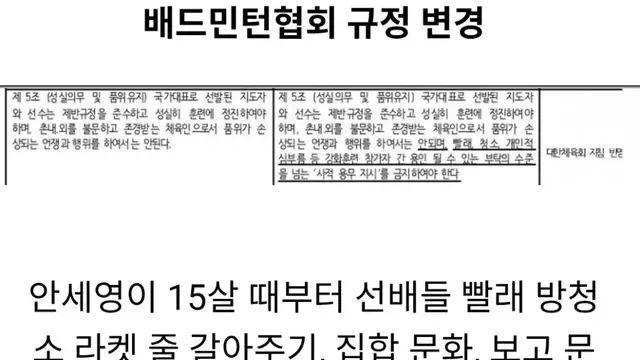 안세영이 실력으로 바꿔버린 배드민턴협회 현재 상황
