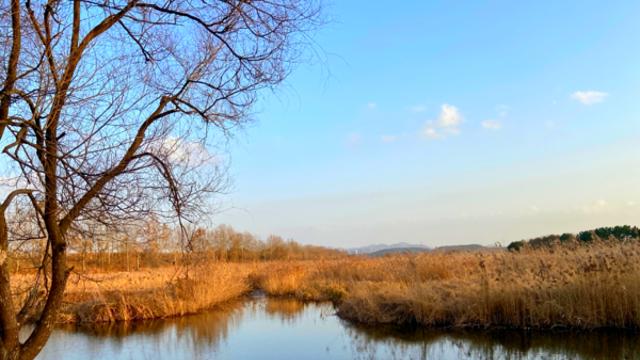 겨울 안산, 생태 습지와 다채로운 체험이 이어지는 하루