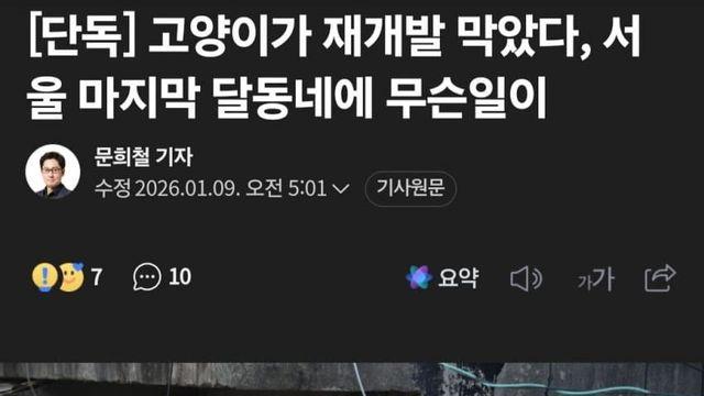 서울 달동네 재개발도 막아버린 고양이