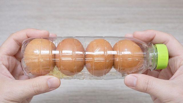 페트병을 반으로 갈라 계란 넣어보세요…이렇게 좋은 걸 왜 몰랐을까요