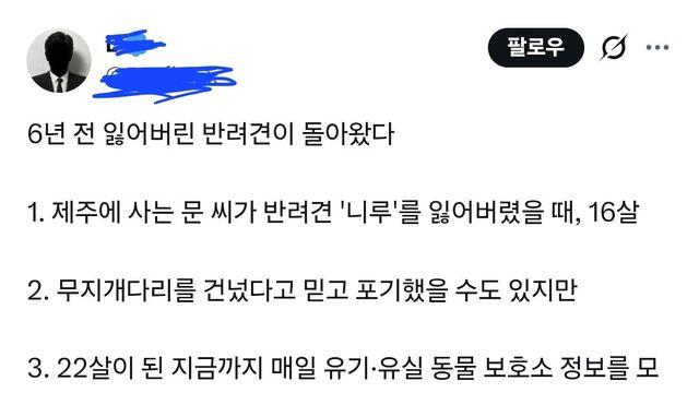 6년전 잃어버린 16살 강아지를 다시 찾게 된 사람