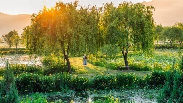 '경남 제1호 지방정원' 거창 창포원 12일부터 입장료 받는다