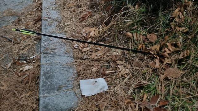 경찰, 강아지와 산책 중이던 여성 주변에 화살 쏜 2명 입건