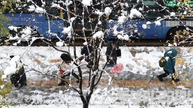 [오늘의 날씨] 전국 대부분 지역에 많은 눈 전망