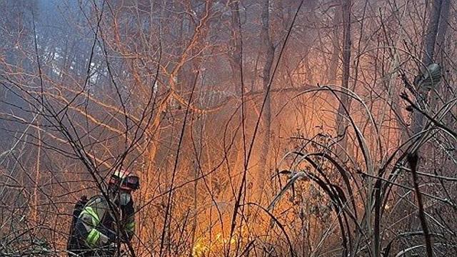 경북 의성 대형산불, 주불 진화…“야간에 잔불 정리”