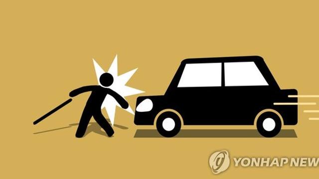 제주 새별오름 인근 도로서 렌터카에 치인 70대 숨져