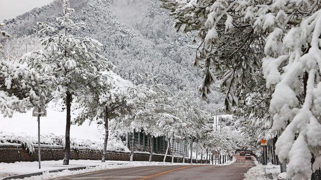 “1인당 50만원 지급” 새해부터 지원금 아낌없이 주는 국내 '이 지역'