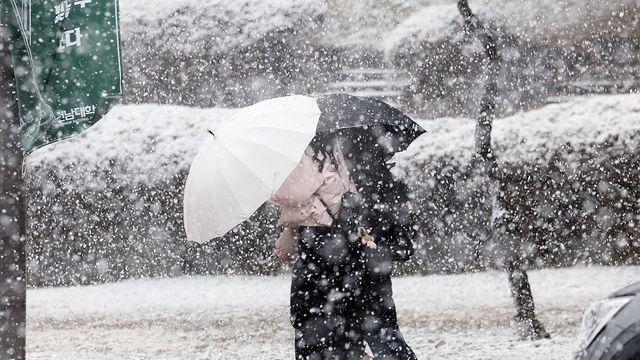 주말 전국에 눈…순간풍속 시속 70㎞ 강풍 동반 '눈보라'