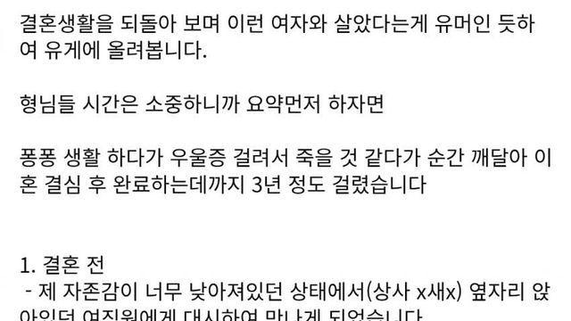 어느 보배드림 퐁퐁남이 겪은 한녀혼의 최후.jpg